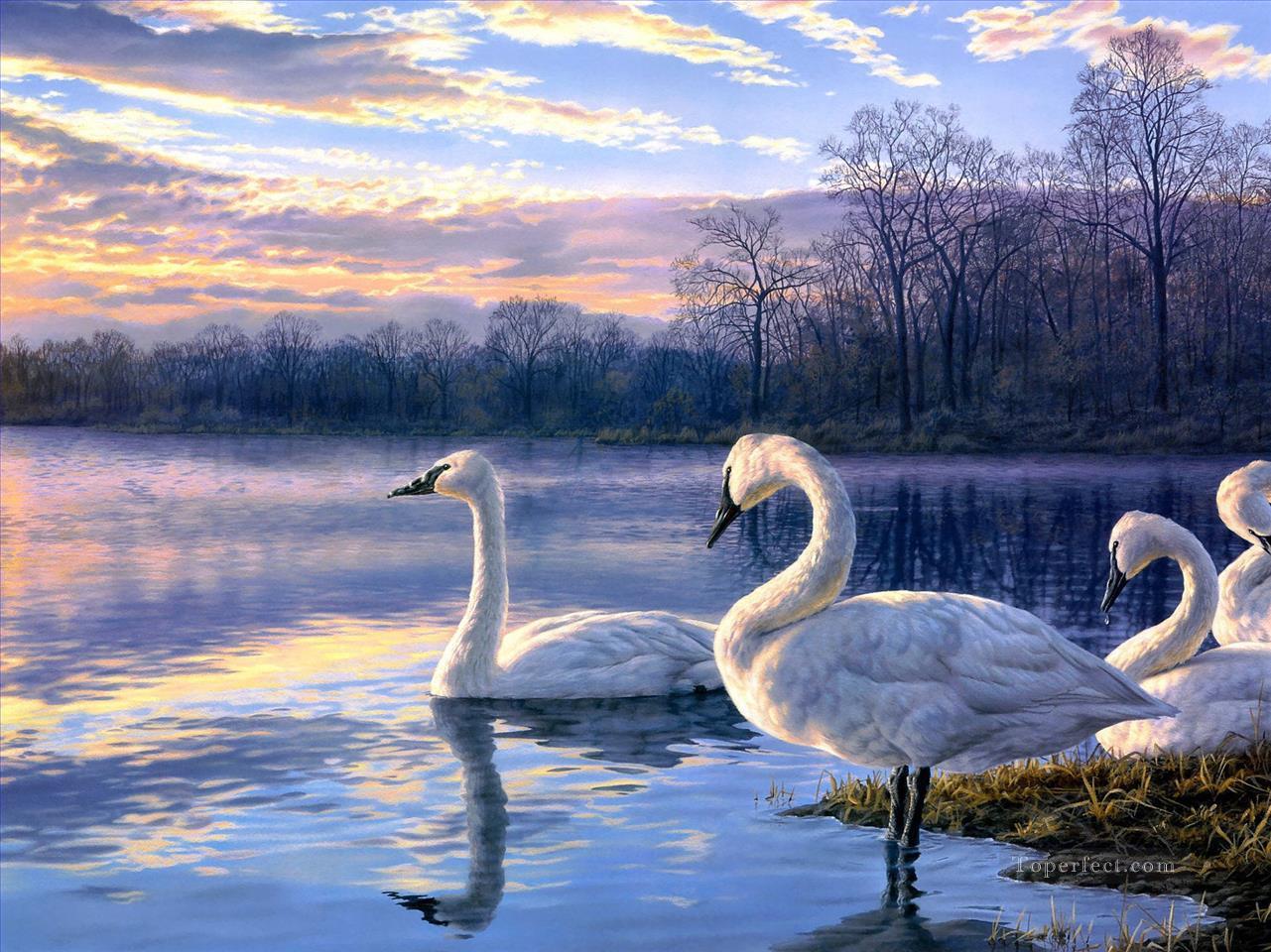 swan lake sunset landscape birds Oil Paintings